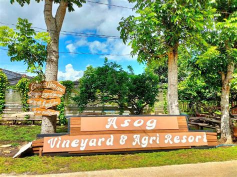 resort in camarines sur|Asog Vineyard & Agri Resort ₱2,000 @ Naga, .